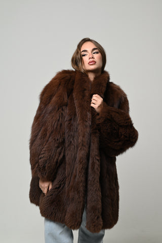 Volpe della Groenlandia 1523