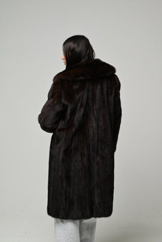 Visone con cappuccio 1573