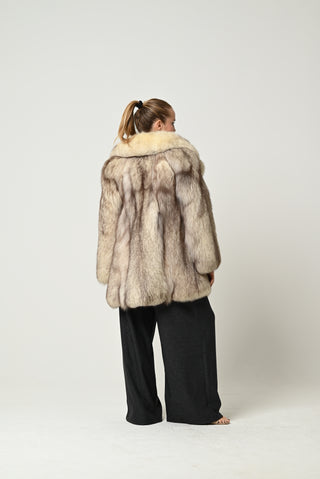 Volpe della Groenlandia 676