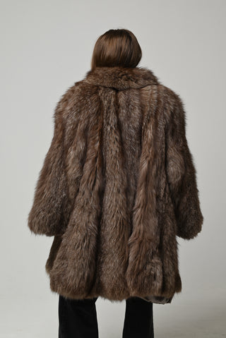 Volpe argentata 1612