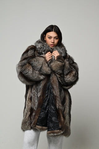 Volpe argentata 1598