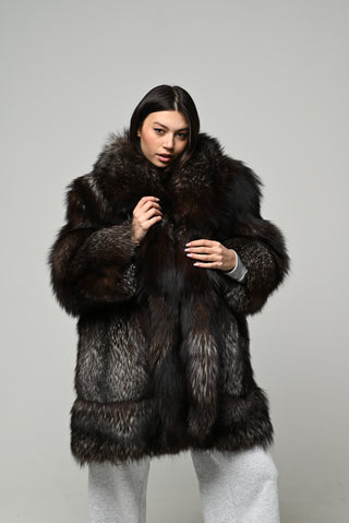 Volpe argentata 1584