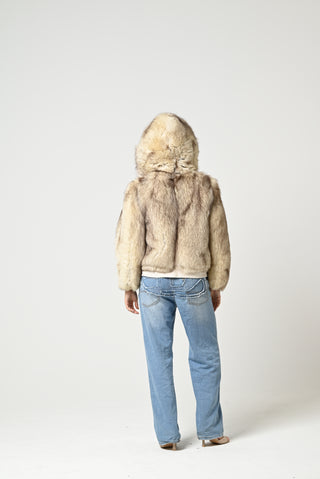 Bomber in volpe della Groenlandia 93