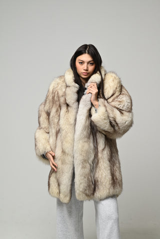 Volpe della Groenlandia 1596