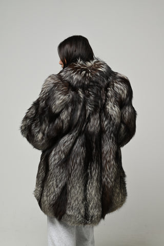 Volpe argentata 1586