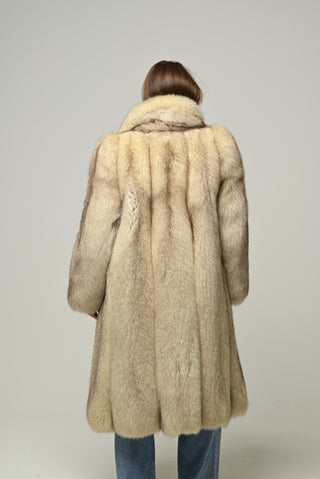 Volpe della Groenlandia 822