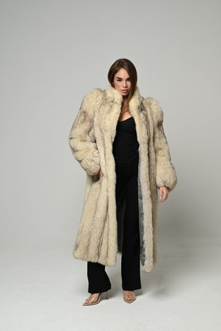 Volpe della Groenlandia 1676