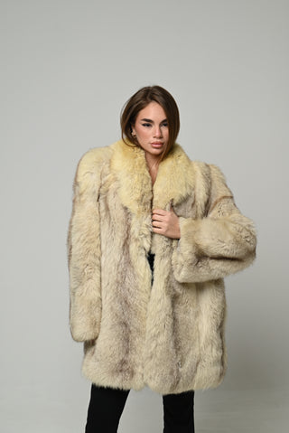 Volpe della Groenlandia 1678