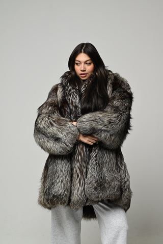 Volpe argentata 1586