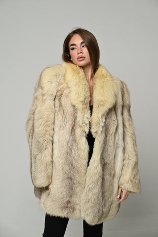 Volpe della Groenlandia 1678