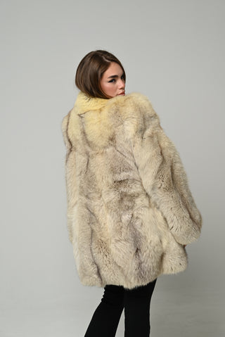 Volpe della Groenlandia 1678