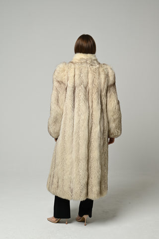 Volpe della Groenlandia 1676