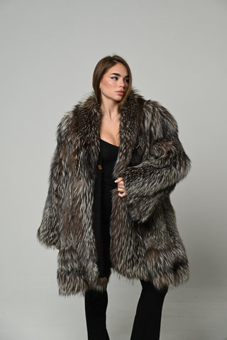 Volpe argentata 1690