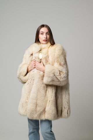 Volpe della Groenlandia 1225