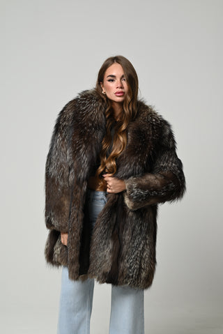 Volpe argentata 1376