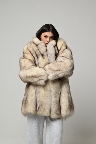 Volpe della Groenlandia 1596