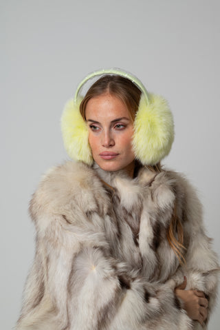 Paraorecchie in volpe