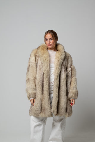 Volpe della Groenlandia 1188